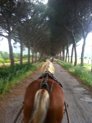 My driving lesson with Violet.